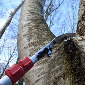 Teleskopska žaga Silky Forester - kerinba.si
