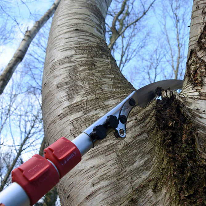 Teleskopska žaga Silky Forester - kerinba.si